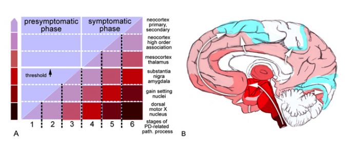 Anus brain connection about one Anus brain connection sorry