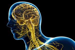 CNS tumors and nurse navigators