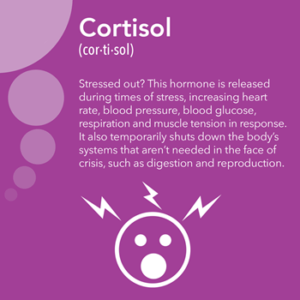 Cortisol