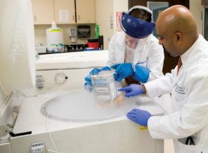 Research Associate Emily Schoof & Dr. Santosh Kesari at the Specimen Repository.