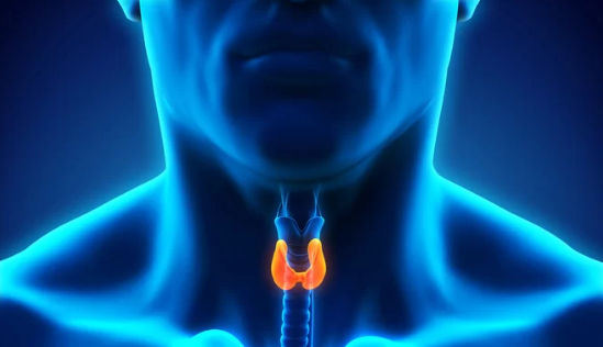 Melanie Goldfarb on Thyroid Cancer