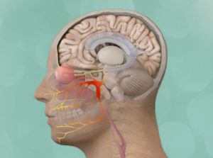 psychological inplications of facial twitches Psychological inplications of facial twitches