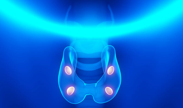 Parathyroid