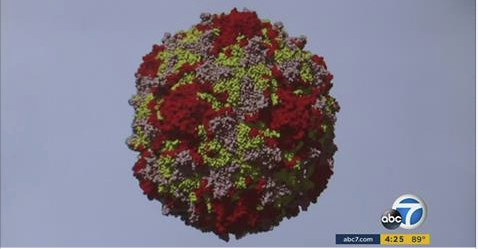 Polio virus