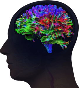 centers-of-excellence-neuroscience-research