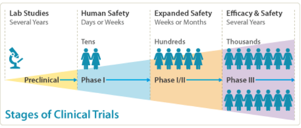 Stages of brain tumor clinical trials