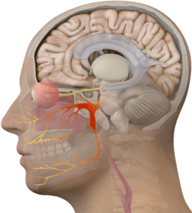 facial nerve pain