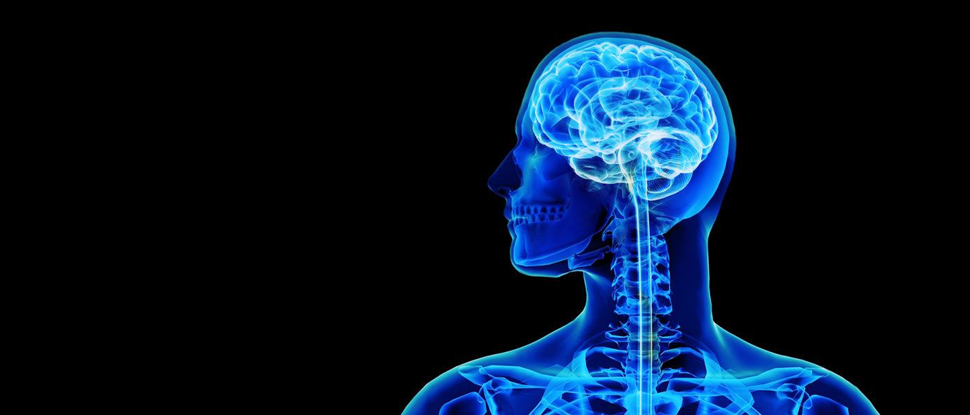 X-ray with brain and spinal cord concept