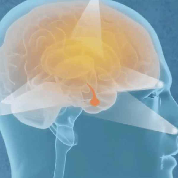 illustration of a brain on a blue background