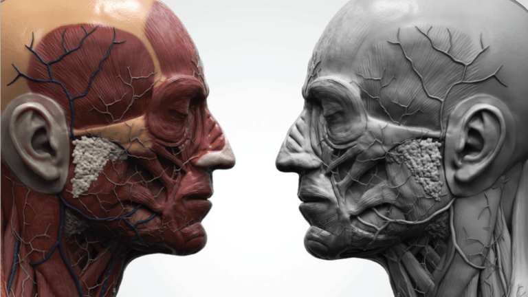 Facial Paralysis and facial nerve disorders