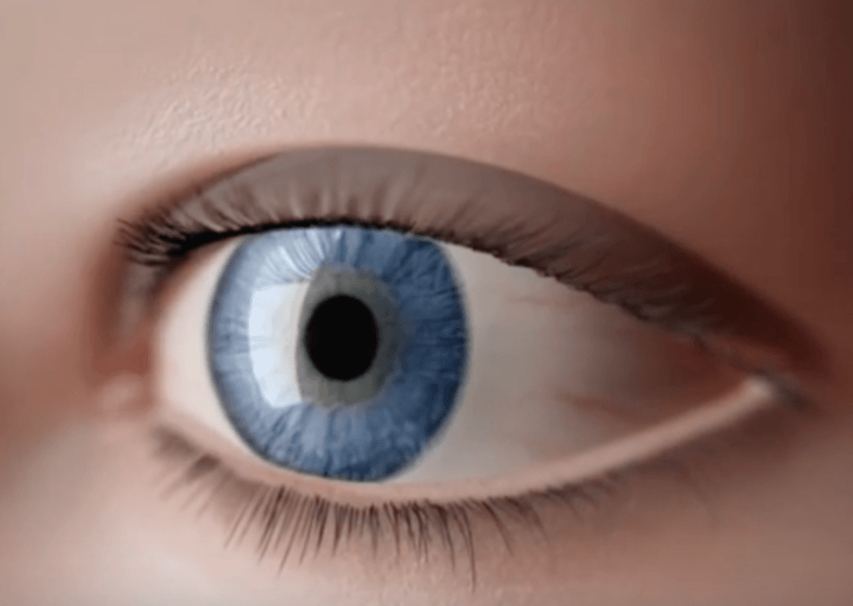 Illustration of a blue eye