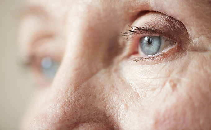 close up of a blue eye