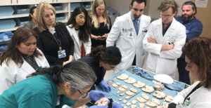 Pacific Neuroscience Institute 