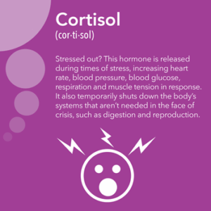 Cortisol