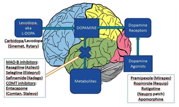 Parkinson's disease treatment