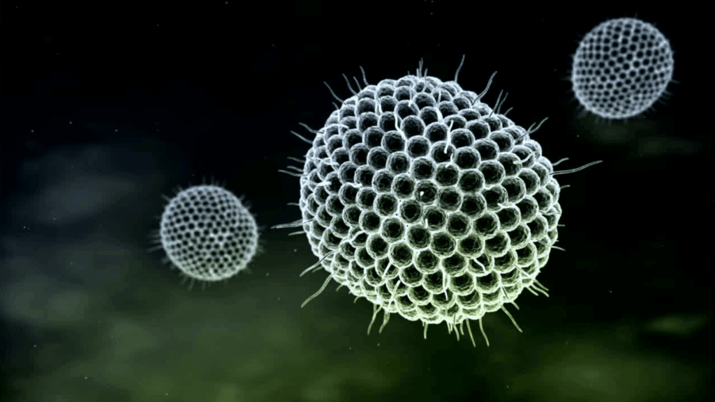 varicella zoster shingles chicken pox virus facial paralysis