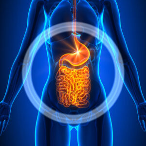 The connection between Parkinson’s disease and the gut.