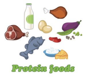 How protein foods interact with levodopa.