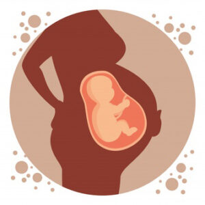 pregnancy