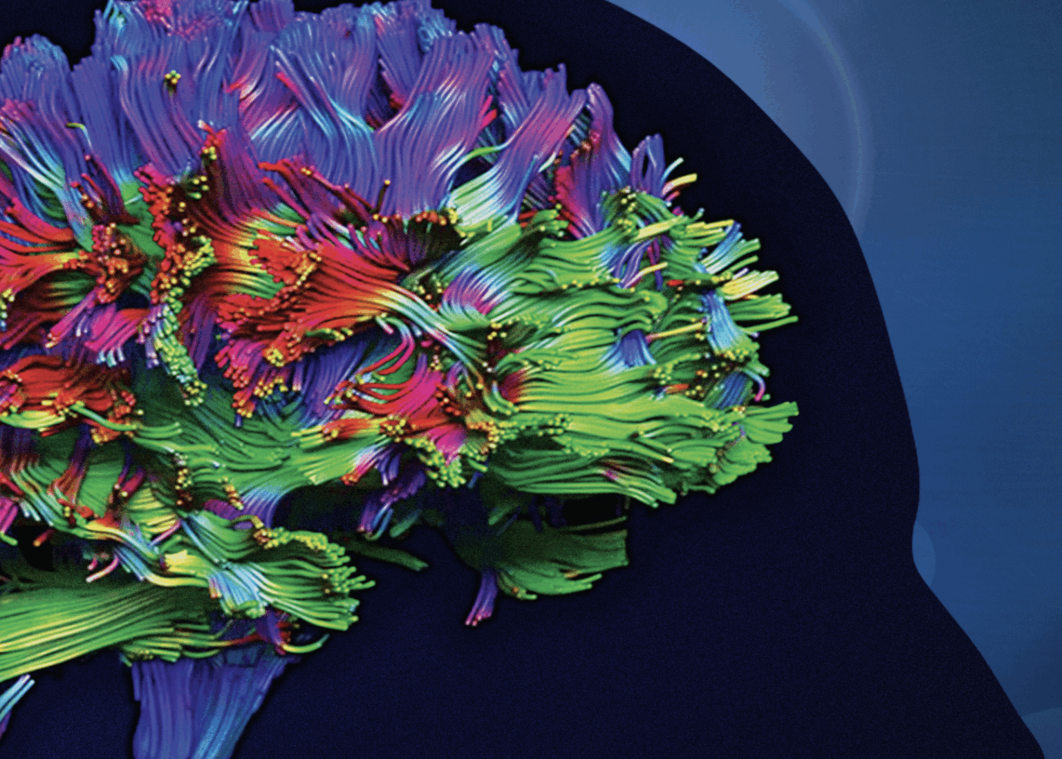 Daniel F. Kelly, MD | Pacific Neuroscience Institute