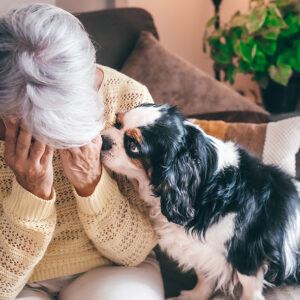 Trauma and cognitive decline