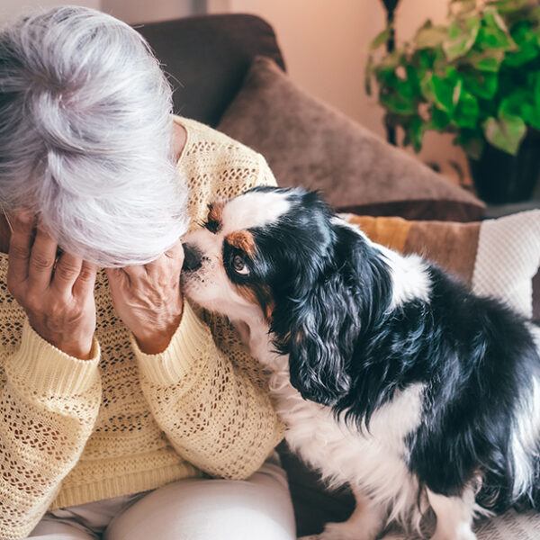 Trauma and cognitive decline