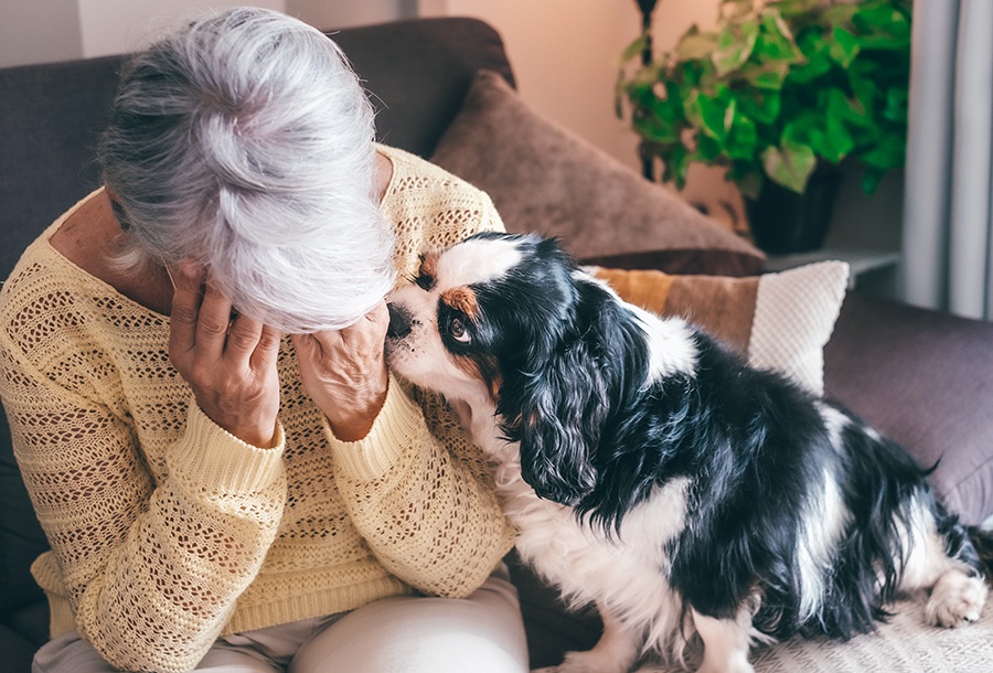 Trauma and cognitive decline