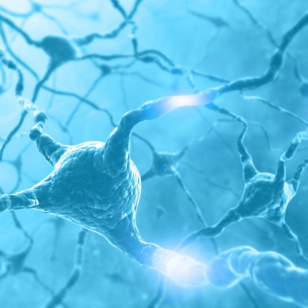 Neurons firing in the brain
