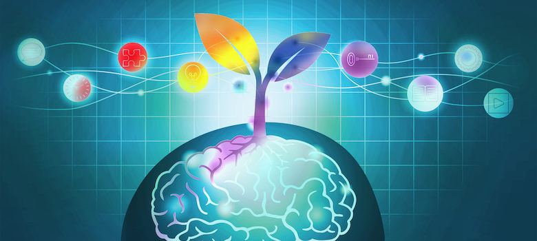 brain illustration with plant growing