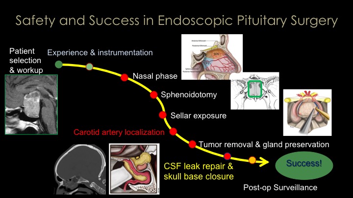 Safety and Success in Endoscopic Pituitary Surgery