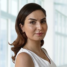 Elnaz Rahbarlayegh PhD