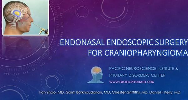 Endoscopic Endonasal Surgery for Craniopharyngioma