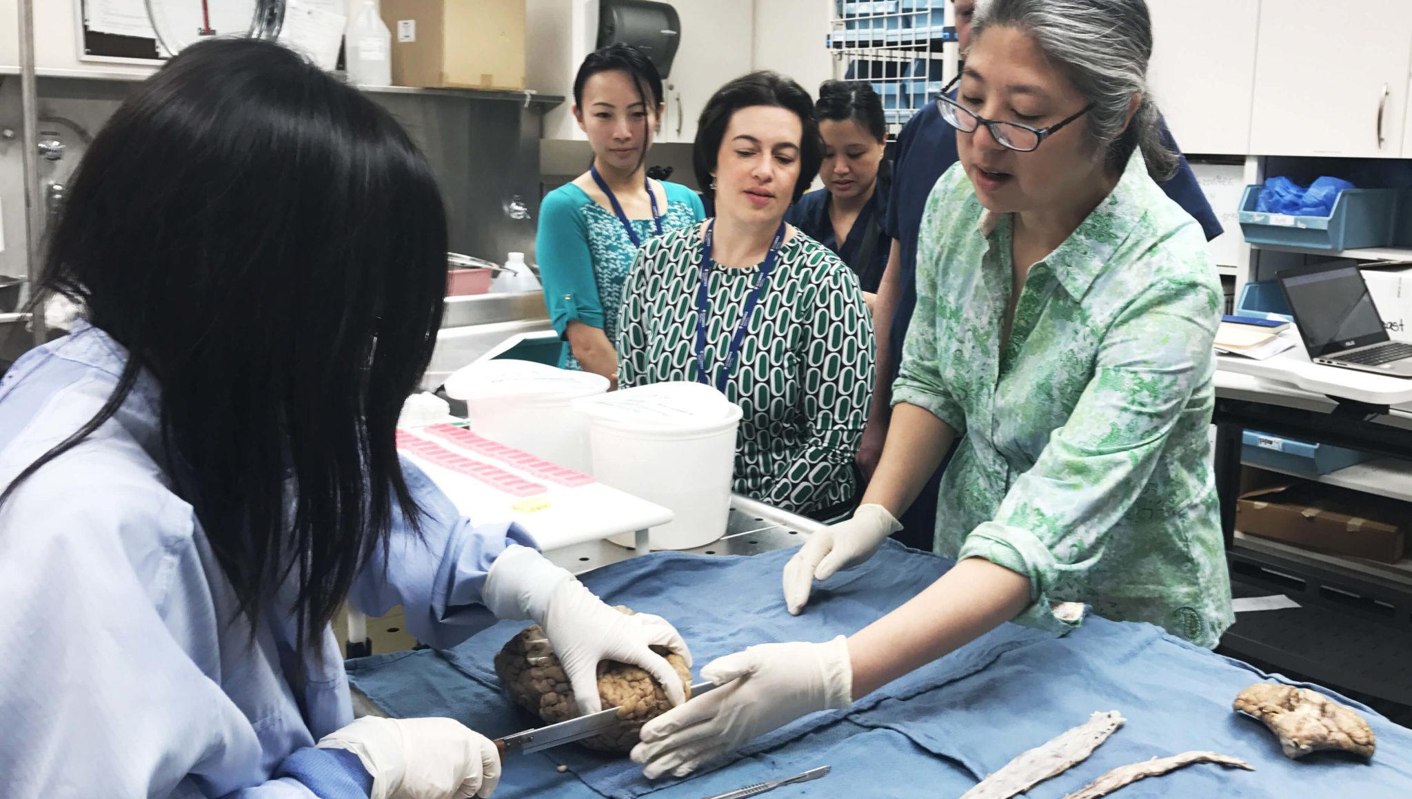 Skull Base and Endoscopic Microdissection Laboratory and Lecture ...