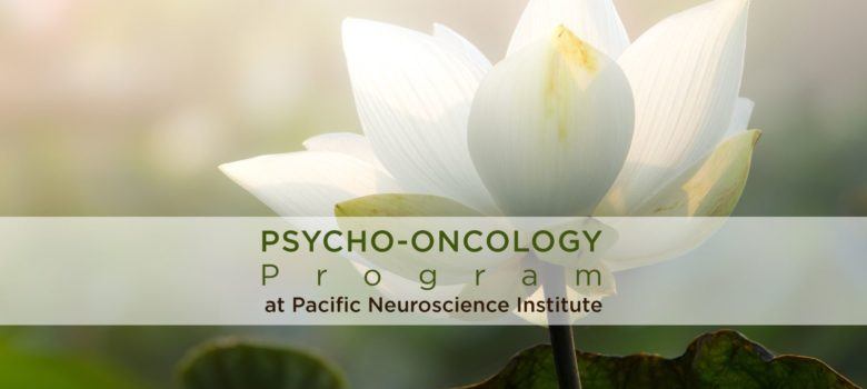 Psycho-oncology Program banner