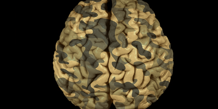 illustration of a brain with ptsd
