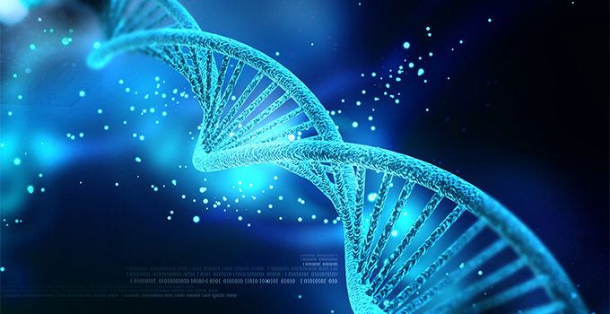 illustration of a dna strand
