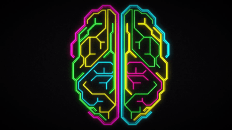 colorful lines forming a brain