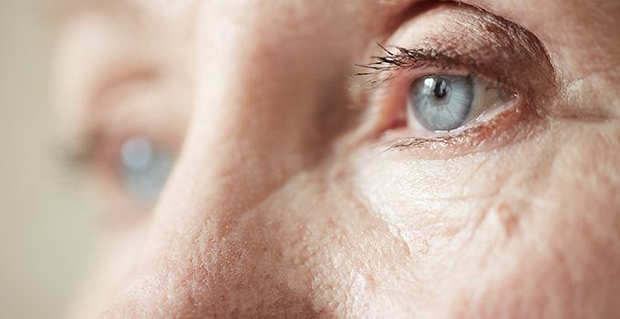 close up of a blue eye