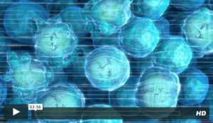 Tumor Treating Fields (TTFields)