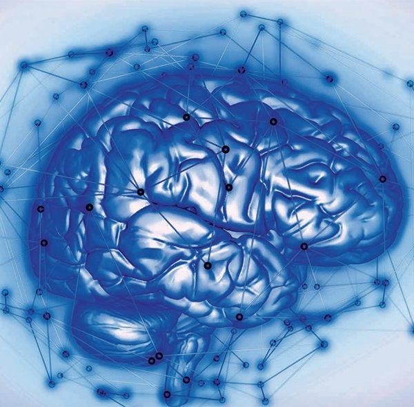 blue illustration of a brain