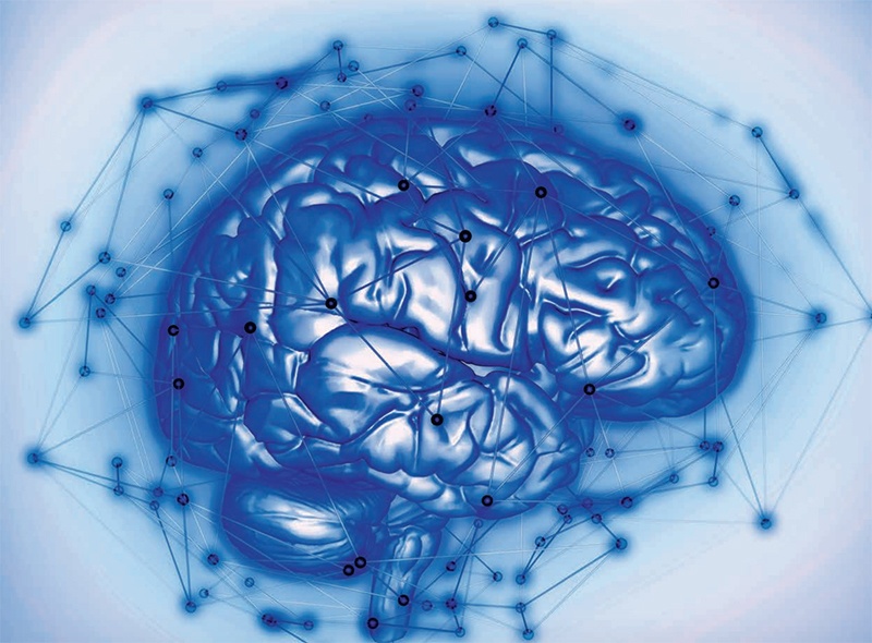 blue illustration of a brain