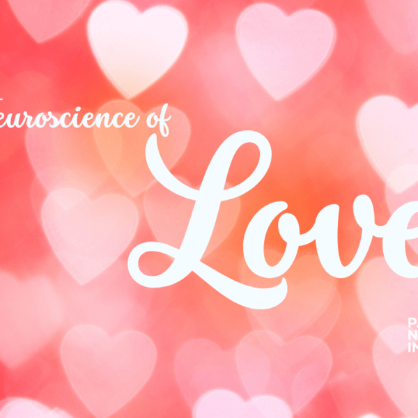the neuroscience of love and connection