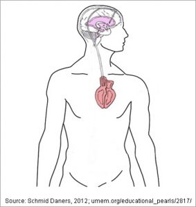 Illustration of shunt positioning. a, the typical use of