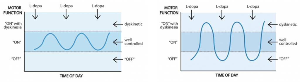 The reaction to levodopa in Parkinson's disease patients.