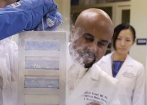 Dr. Santosh Kesari and lab manager Natsuko Nomura.